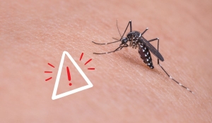 Recent Mosquito-Borne Diseases Identified in Alabama 